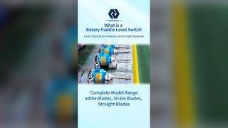 سوئیچ سطح پدل چرخشی با دمای بالا